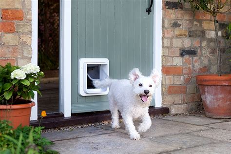 rfid reading doggy door|best microchip dog door.